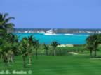 Bahamas---Atlantis-110-copy.jpg (79kb)